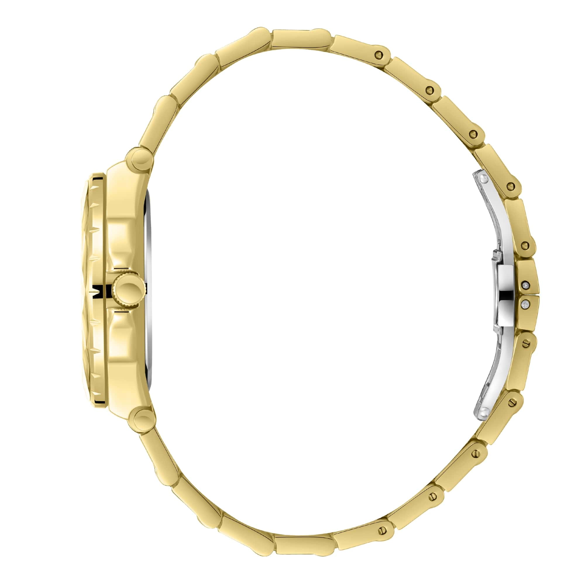 Beverly Hills Polo Club Beverly Hills Polo Club BP3762C.120,  сша мужские часы на браслете нержавеющая сталь с ip-покрытием боковой вид