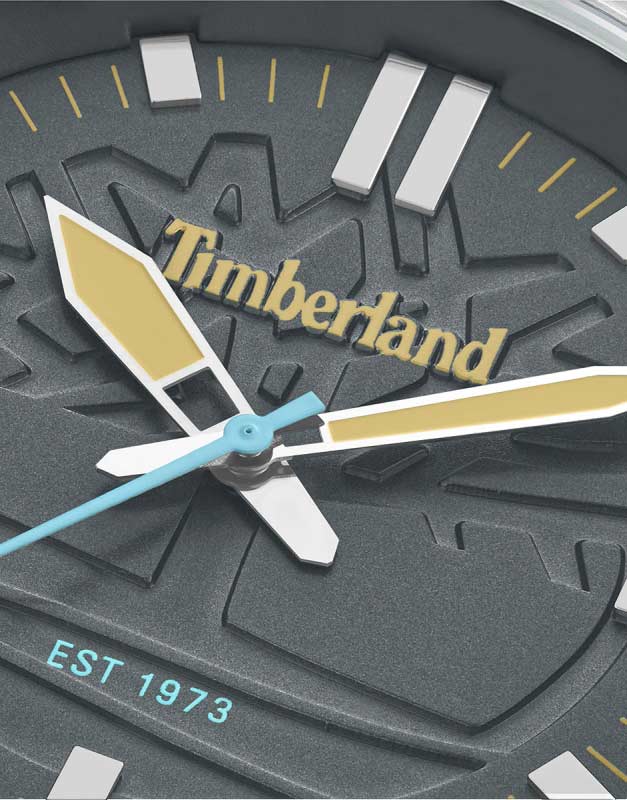 Timberland Timberland Rambush TDWGA0029605,  сша мужские часы на браслете кожаный боковой вид