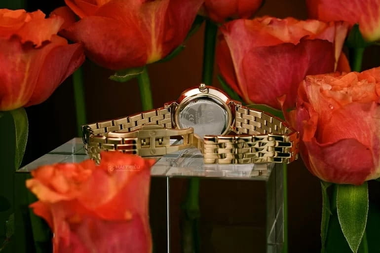Daniel Wellington DW00100614 женские часы застежка крупным планом