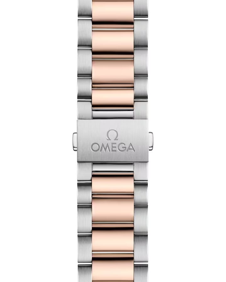 Omega Omega Seamaster Aqua Terra 220.20.38.20.03.001, seamaster швейцария женские часы на браслете нержавеющая сталь + золото 18к боковой вид