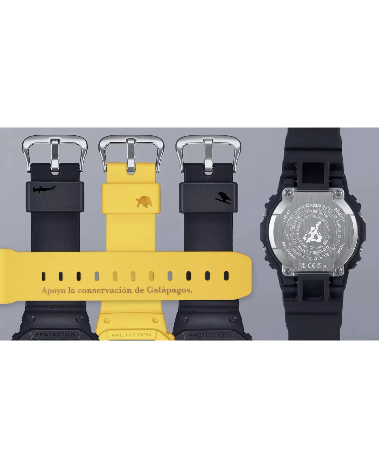 Casio Casio G-Shock GW-B5600CD-1A2 электронные мужские часы часы крупный план  циферблата