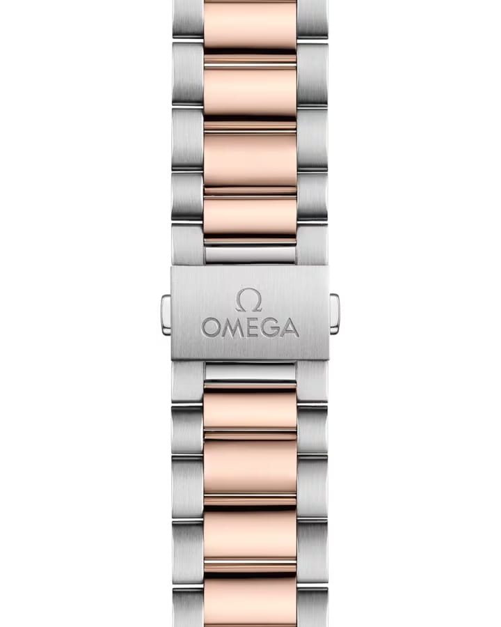 Omega Omega Seamaster Aqua Terra 220.20.38.20.55.002, seamaster швейцария женские часы на браслете нержавеющая сталь + золото 18к боковой вид