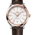 Omega 22023412102001