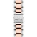 Часы Omega Seamaster Aqua Terra 220.20.34.20.59.001 фото 3