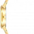Anne Klein 4006IVGB