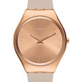 Часы Swatch Skin Irony SYXG101