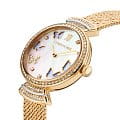 Cerruti 1881 CIWLG0008702