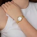 Festina F20495/1