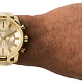 Diesel DZ4590