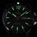 Festina F20699/2