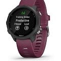 Часы Garmin Forerunner 245 010-02120-11 фото 5