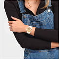 Swatch SO29W105