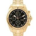 Часы DKNY Central Park Chrono DK1G049M0065