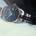 Swiss Military by Chrono SMA34085.10